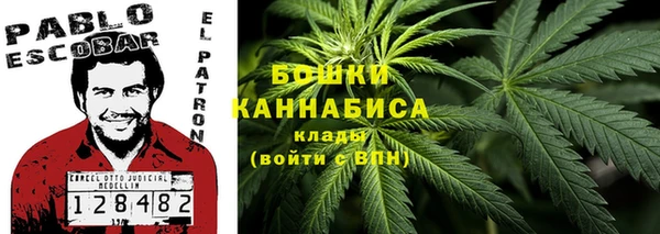 тгк Дегтярск